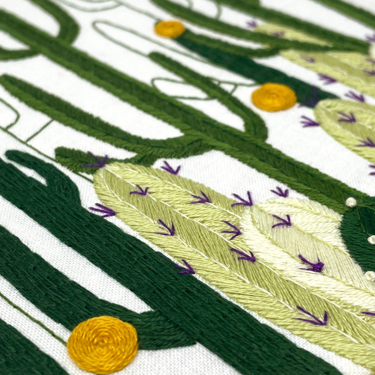 Cactus Bloom - embroidery kit